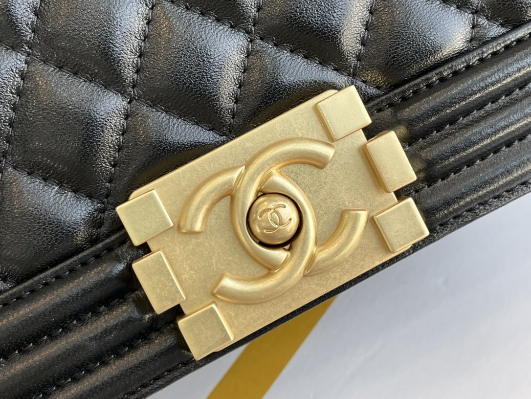 Chanel Leboy Series Bags